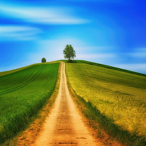 Bild eines Feldweges in einer menschenleeren Landschaft