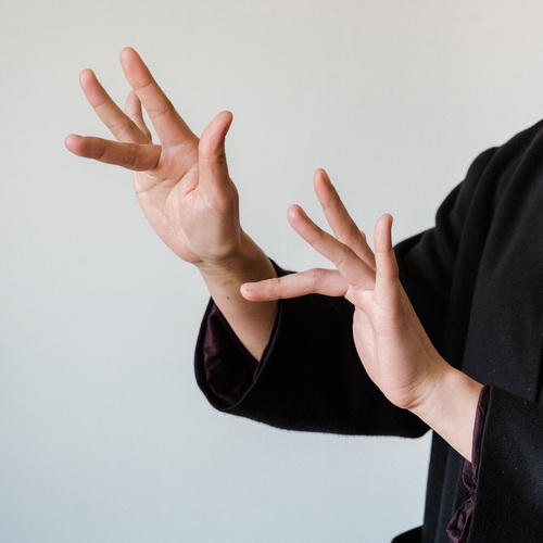Gebärdensprache Hände_pexels_kevin malik